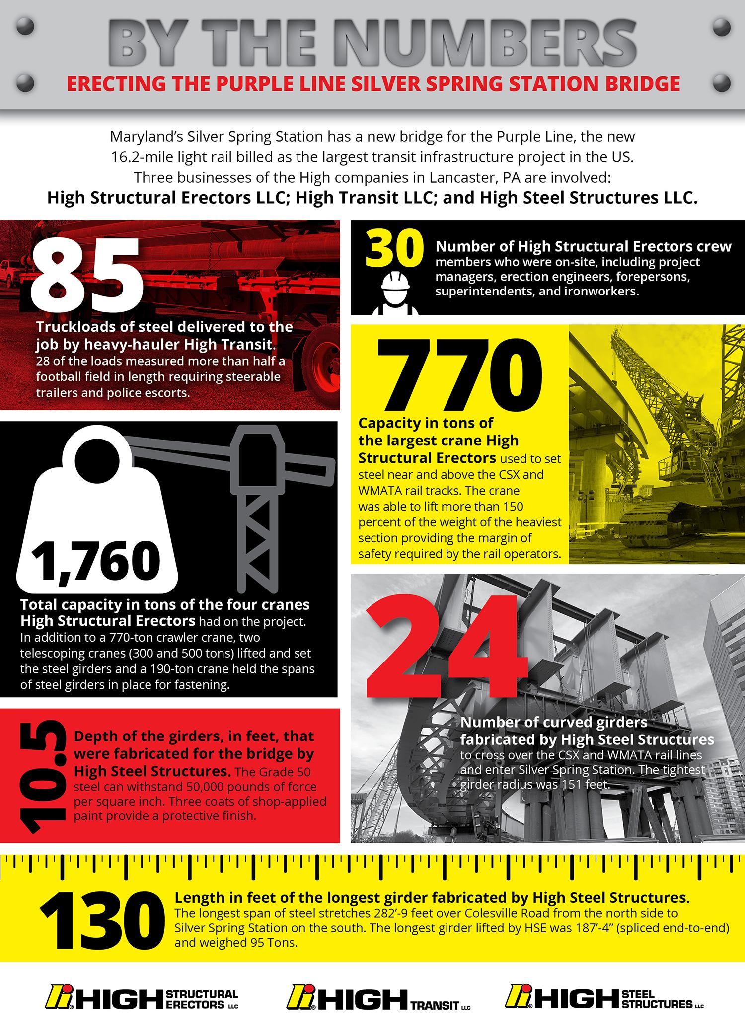 Purple Line Infographic